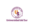 Universidad del Sur